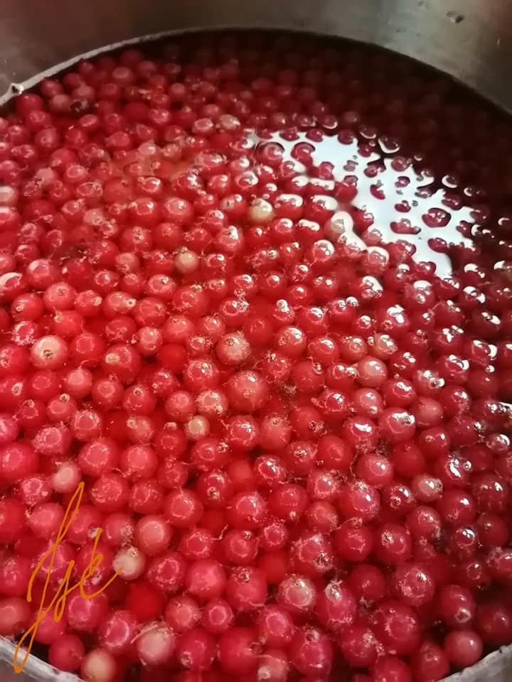 Pirosribizli zselé alap